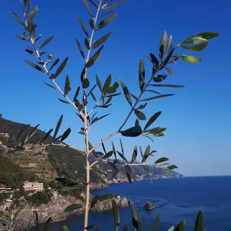 La Casa Di Mattia *